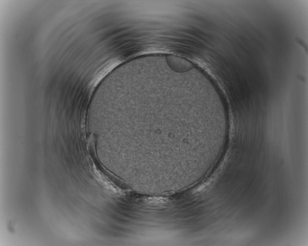 X0000100421137200806271501