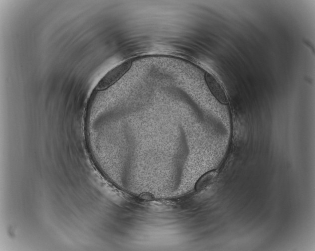 X0000100421138200806271501