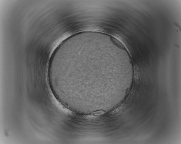 X0000100421139200806271501