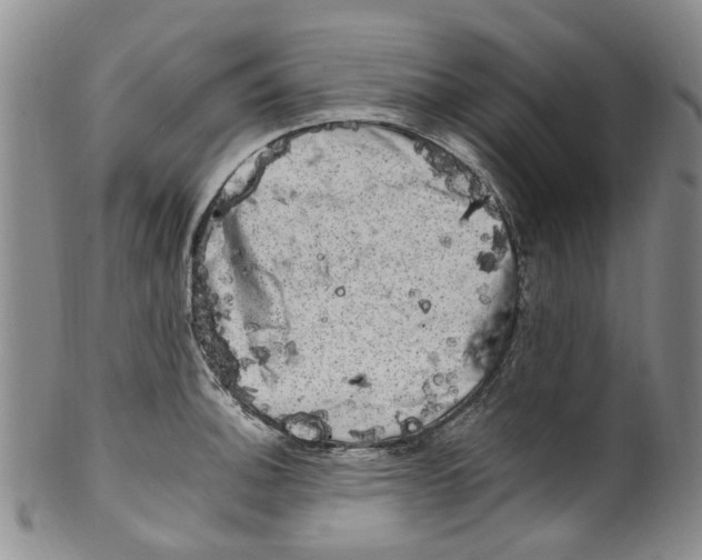 X0000100421140200806271501