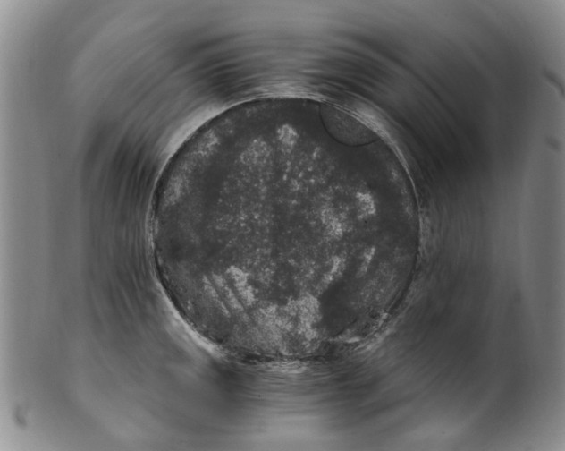 X0000100421141200806271501