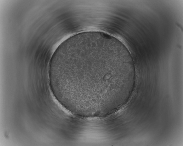X0000100421142200806271501