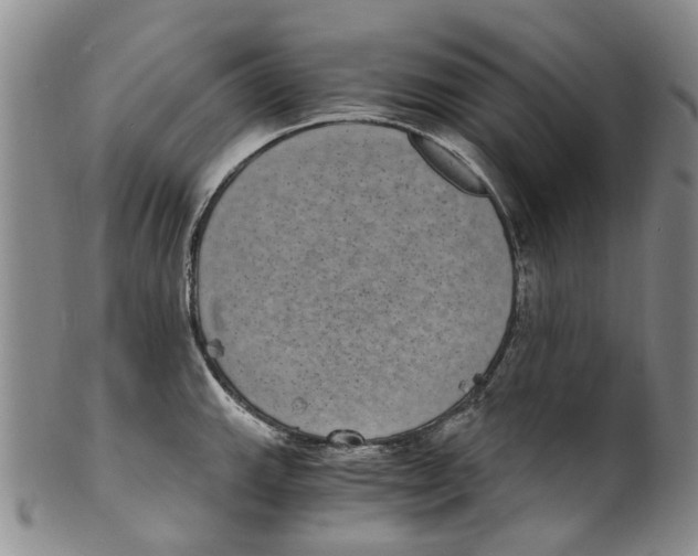 X0000100421143200806271501