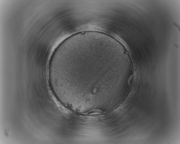 X0000100421144200806271501