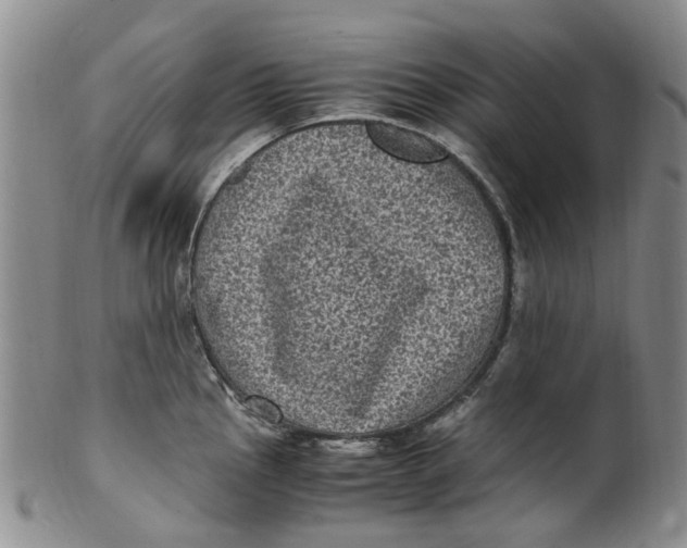 X0000100421145200806271501