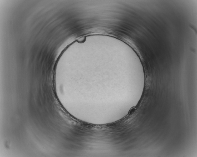 X0000100421146200806271501