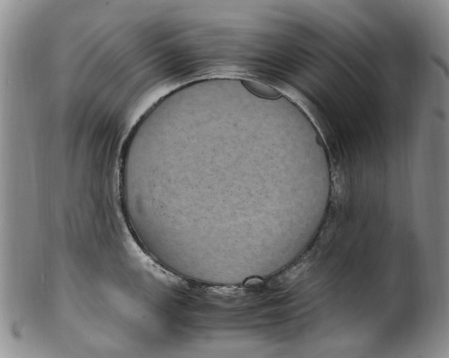 X0000100421147200806271501