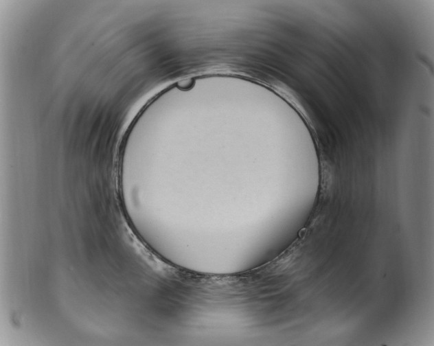 X0000100421148200806271501