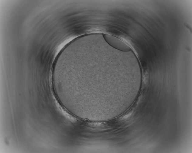 X0000100421149200806271501