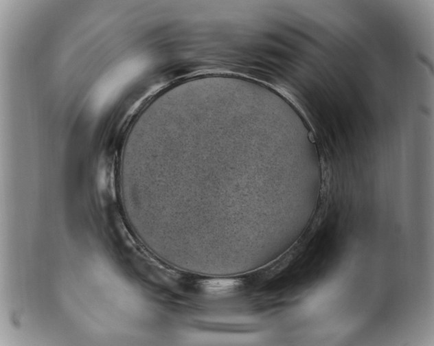 X0000100421151200806271501