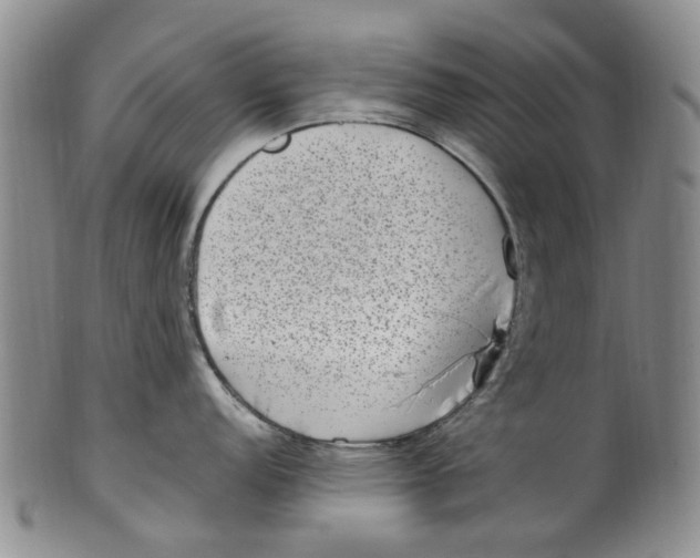 X0000100421152200806271501