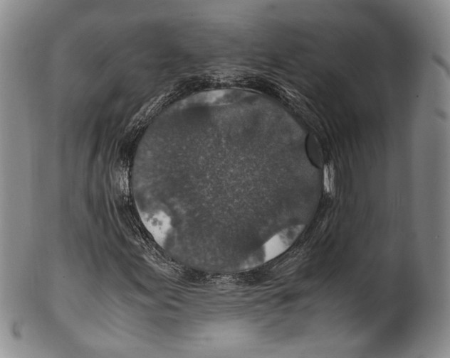 X0000100421155200806271500
