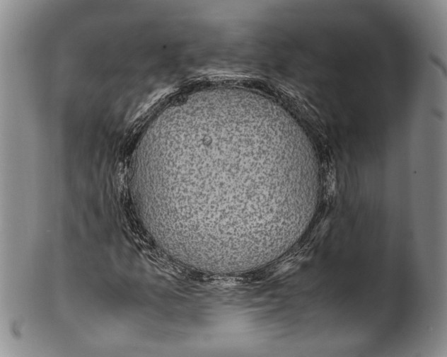 X0000100421157200806271500