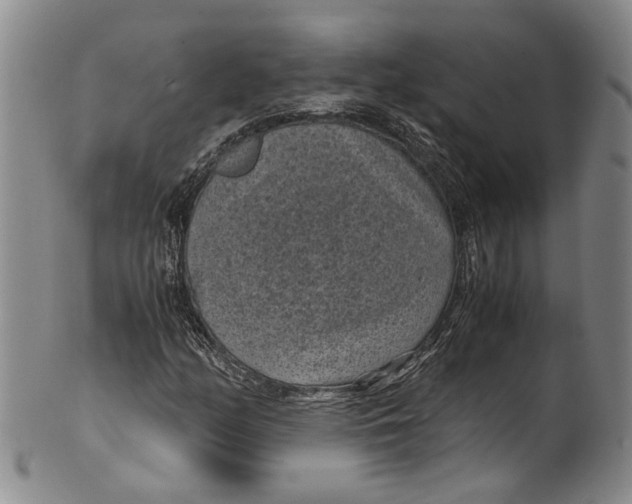 X0000100421158200806271500