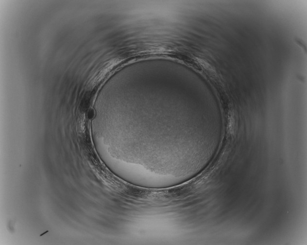 X0000100421161200806271500