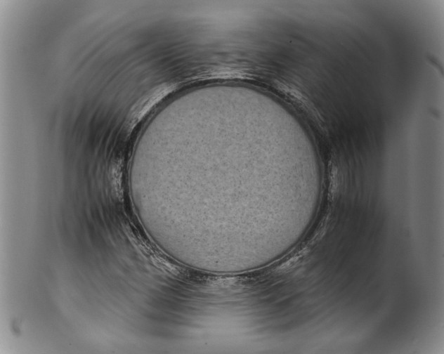X0000100421162200806271500