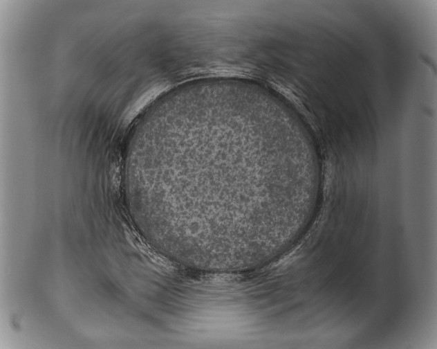 X0000100421163200806271500