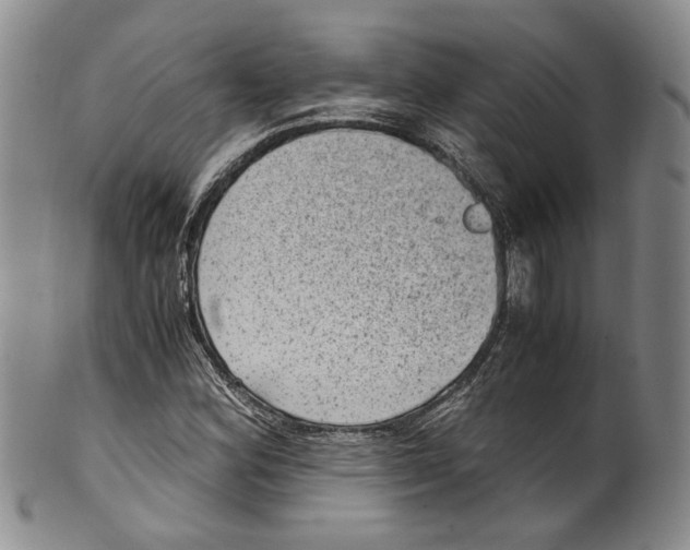 X0000100421164200806271500