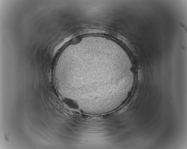 X0000100421165200806271500