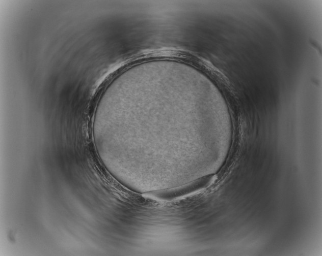 X0000100421166200806271500