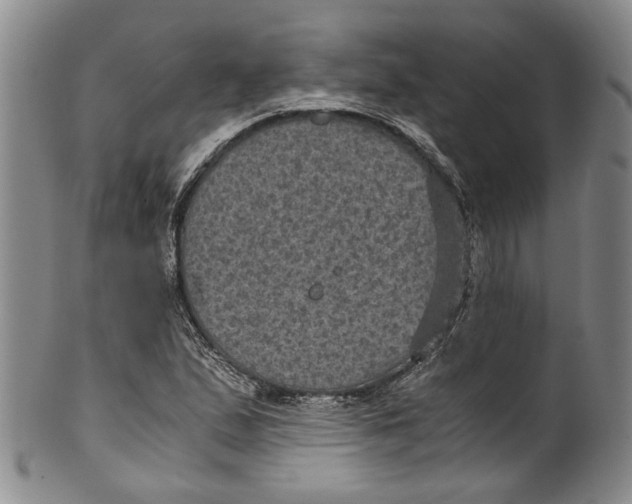 X0000100421167200806271500
