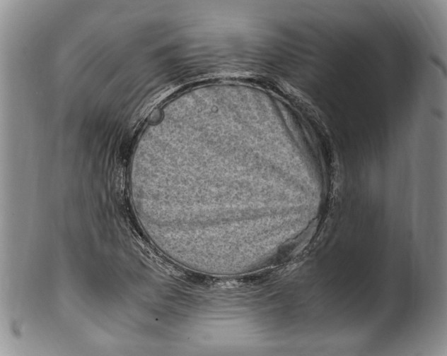 X0000100421169200806271500