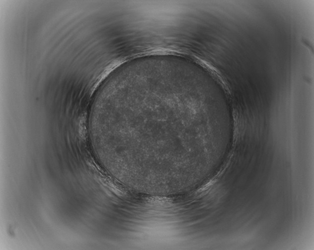 X0000100421170200806271500