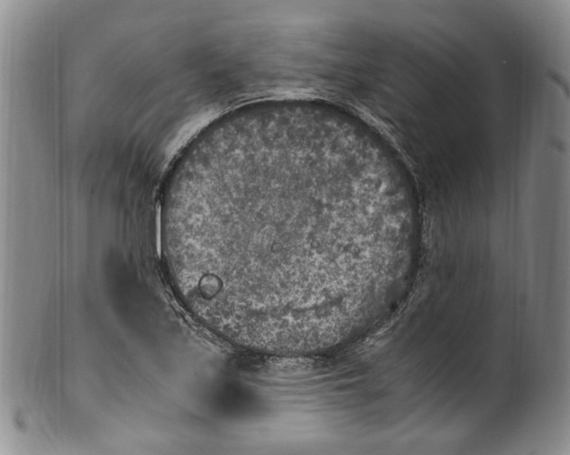 X0000100421171200806271500