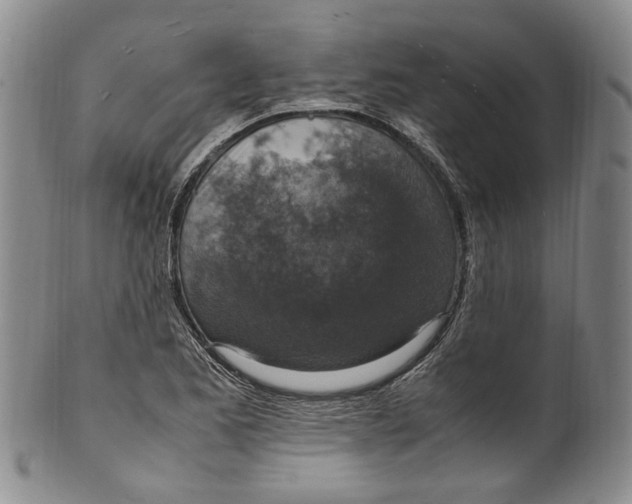 X0000100421173200806271500