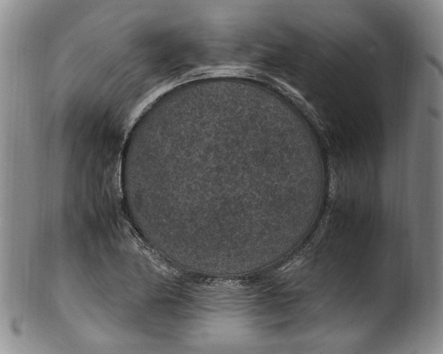 X0000100421174200806271500