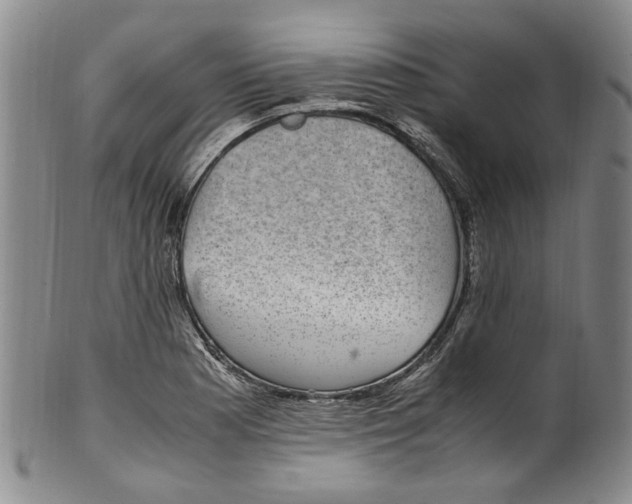 X0000100421177200806271500