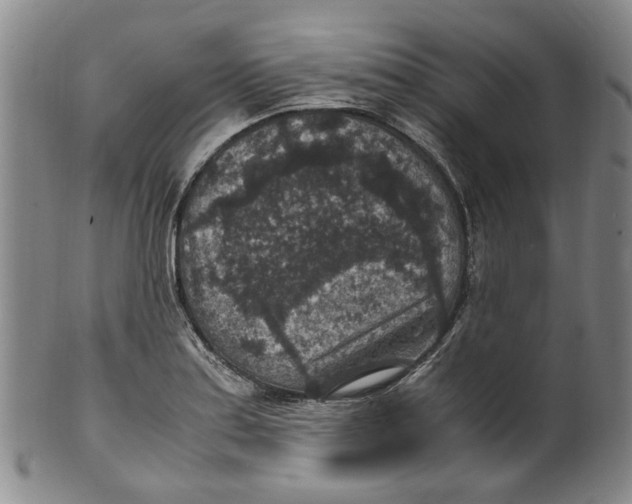 X0000100421179200806271500