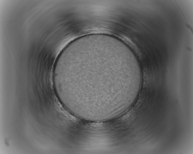 X0000100421182200806271500