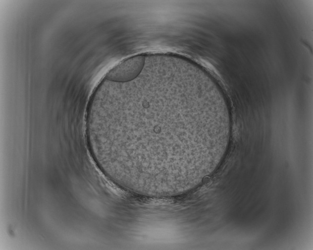 X0000100421183200806271500