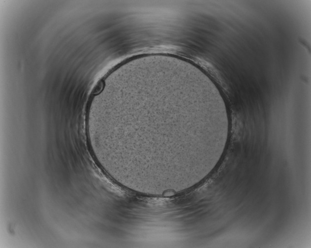 X0000100421184200806271500