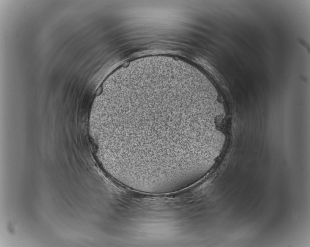 X0000100421185200806271500