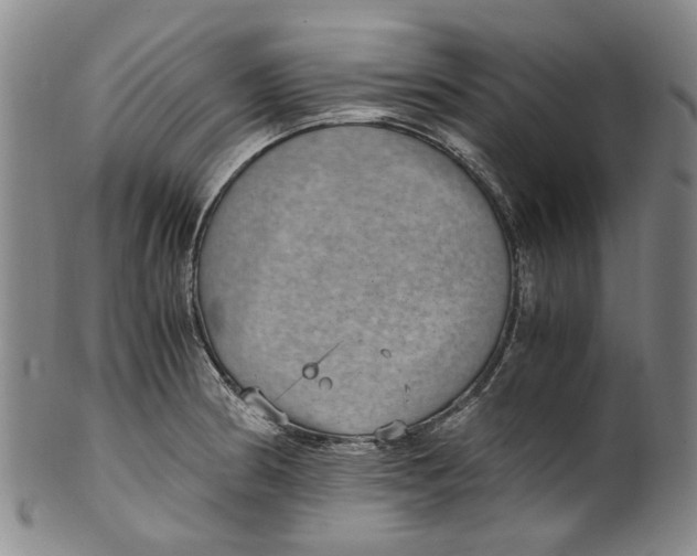 X0000100421186200806271500