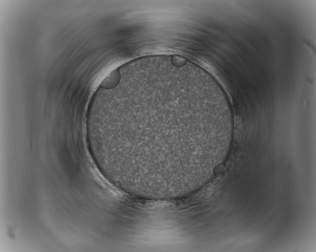 X0000100421187200806271500