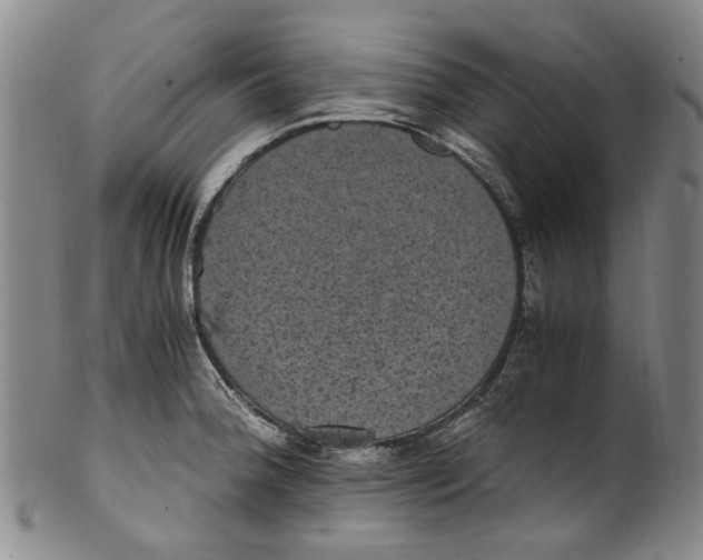 X0000100421188200806271500