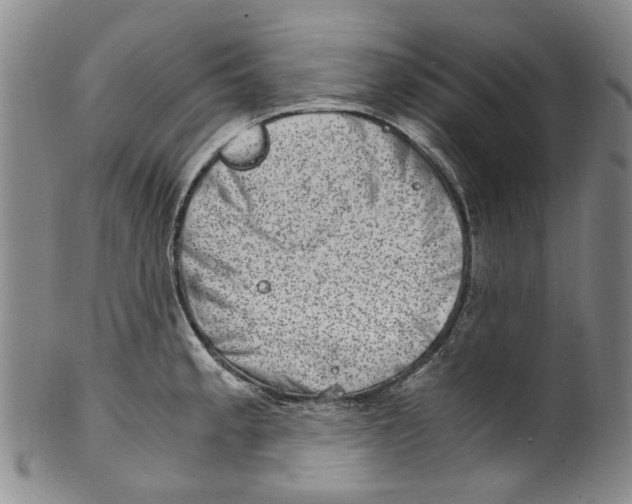 X0000100421189200806271500