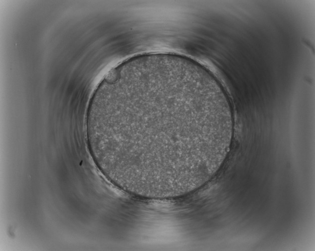 X0000100421191200806271500