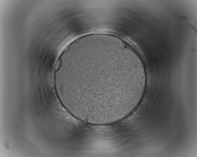 X0000100421192200806271500
