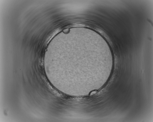 X0000100421193200806271500