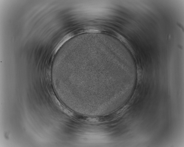 X0000100421194200806271500