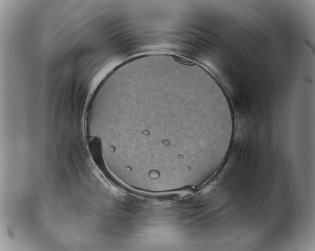 X0000100421196200806271500