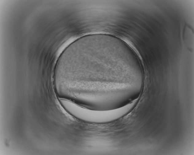 X0000100421197200806271500