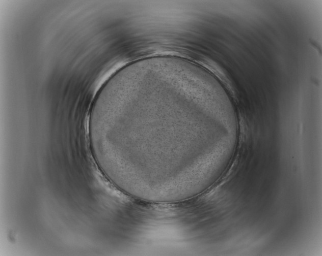X0000100421198200806271500