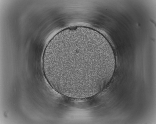 X0000100421199200806271500