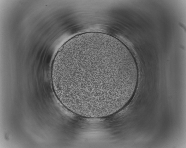 X0000100421200200806271500