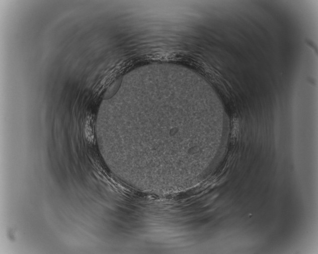 X0000100421202200806271459